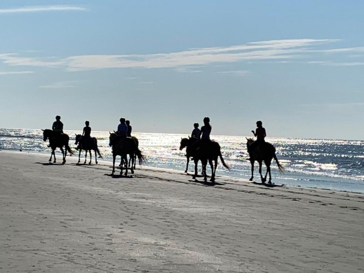 1313 Pelican Watch Villas - Beachfront 5 Star Condo, Seabrook Island Exterior foto